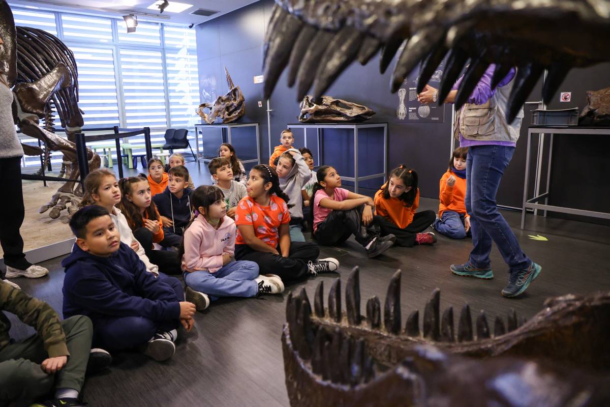 Els alumnes de l`escola Can Deu a la visita - Victor Castillo Els alumnes de l`escola Can Deu a la visita