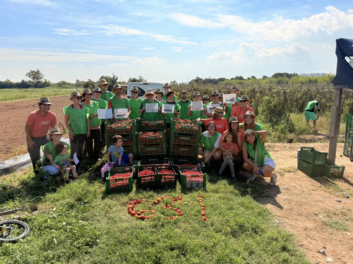 Espigolada Popular - Parc Agrari del Baix Llobregat Espigolada Popular