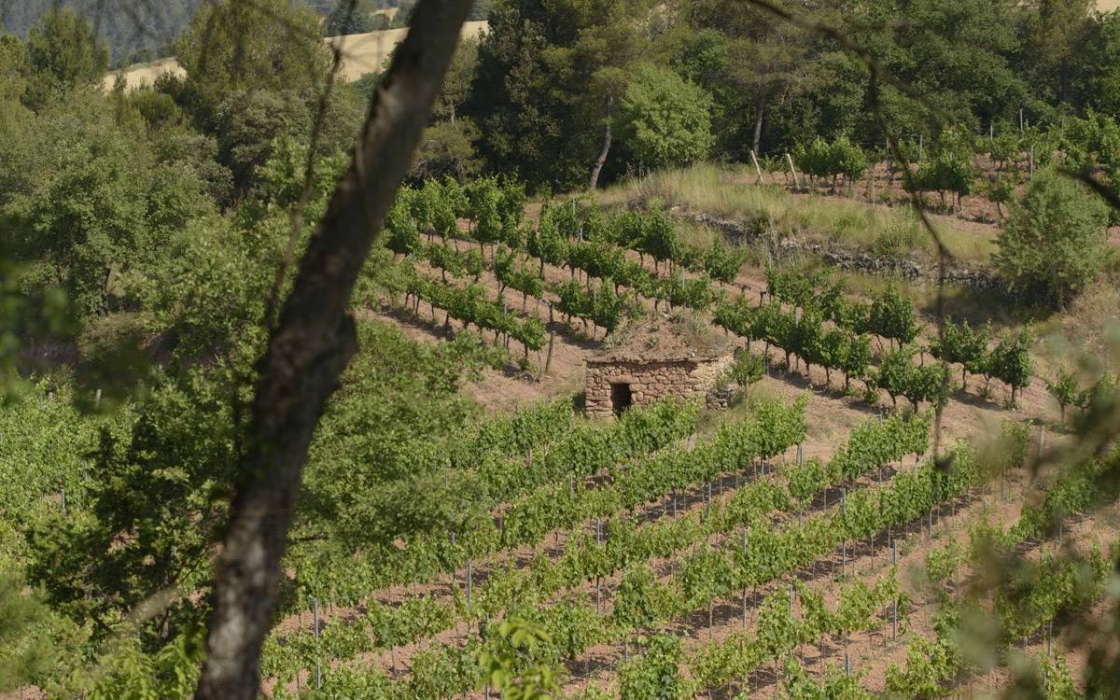 Manresa tornarà a ser capital de la pedra seca el 2027 coincidint amb els 25 anys de la primera Trobada