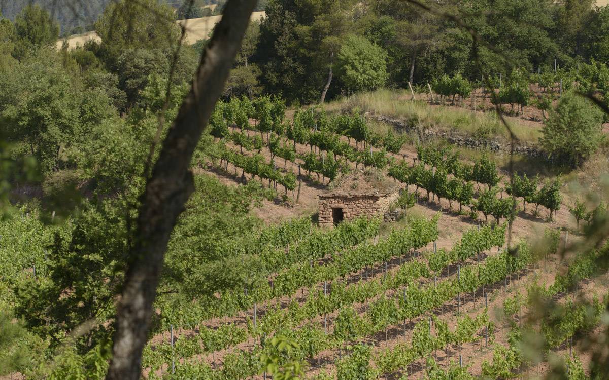 Manresa tornarà a ser capital de la pedra seca el 2027 coincidint amb els 25 anys de la primera Trobada