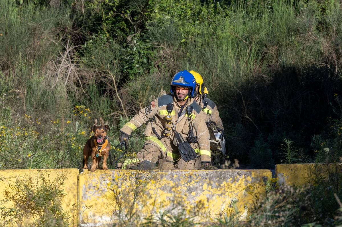 FOTOS | Final feliç en un espectacular rescat d'un gos a Sabadell