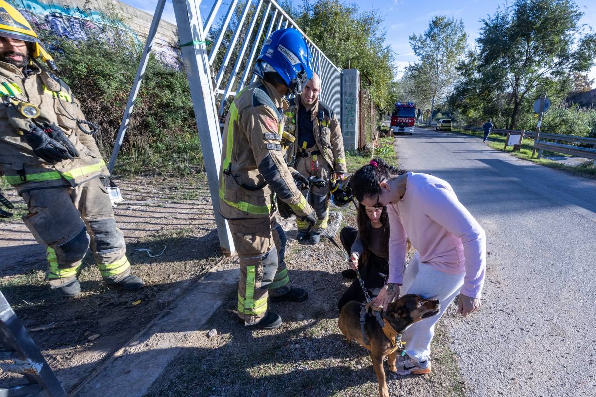 Rescat d`un gos a Sabadell - Juanma Peláez Rescat d`un gos a Sabadell