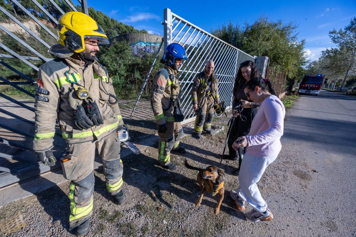 Rescat d`un gos a Sabadell - Juanma Peláez Rescat d`un gos a Sabadell