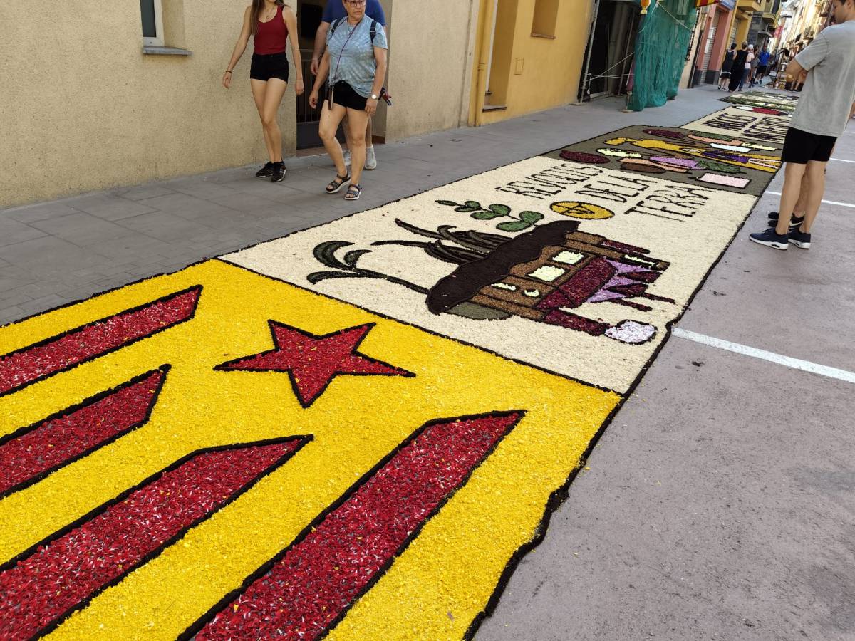 Catifa de l`Arboç aquestes Enramades. - Bernat Castanyer Catifa de l`Arboç aquestes Enramades.