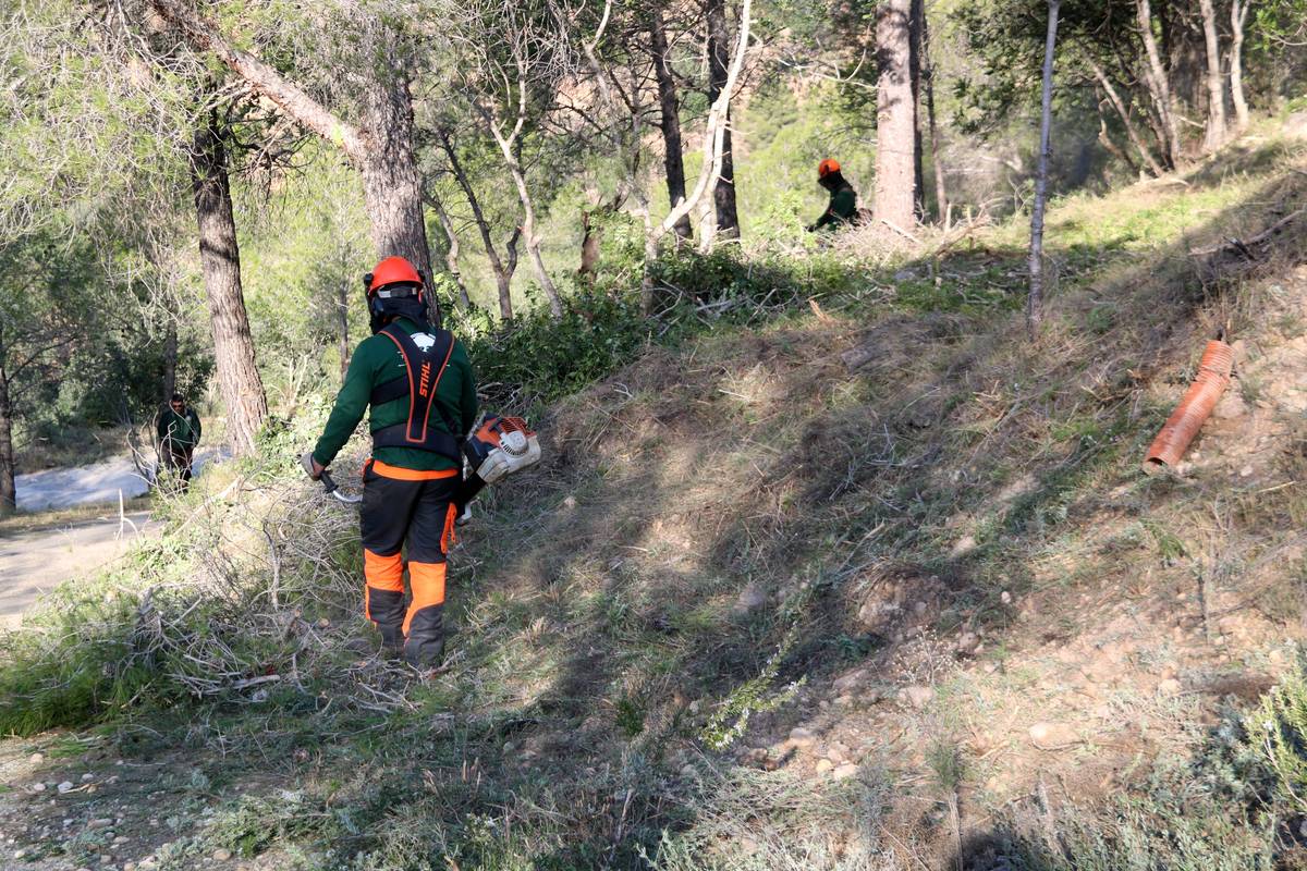 El COPATE coordina un ambiciosa actuació de neteja forestal a Tivenys