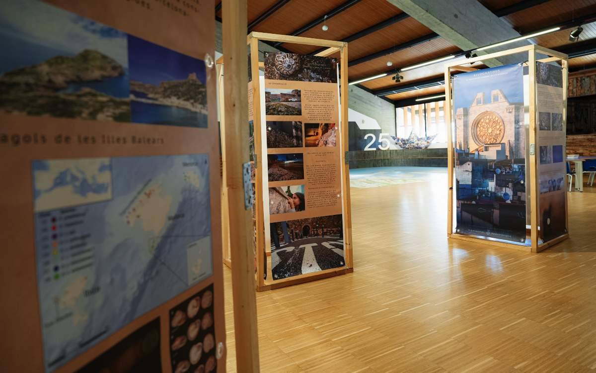 El Museu del Port de Tarragona obre al públic una exposició sobre l'Allognathus, el misteriós cargol de la Muralla