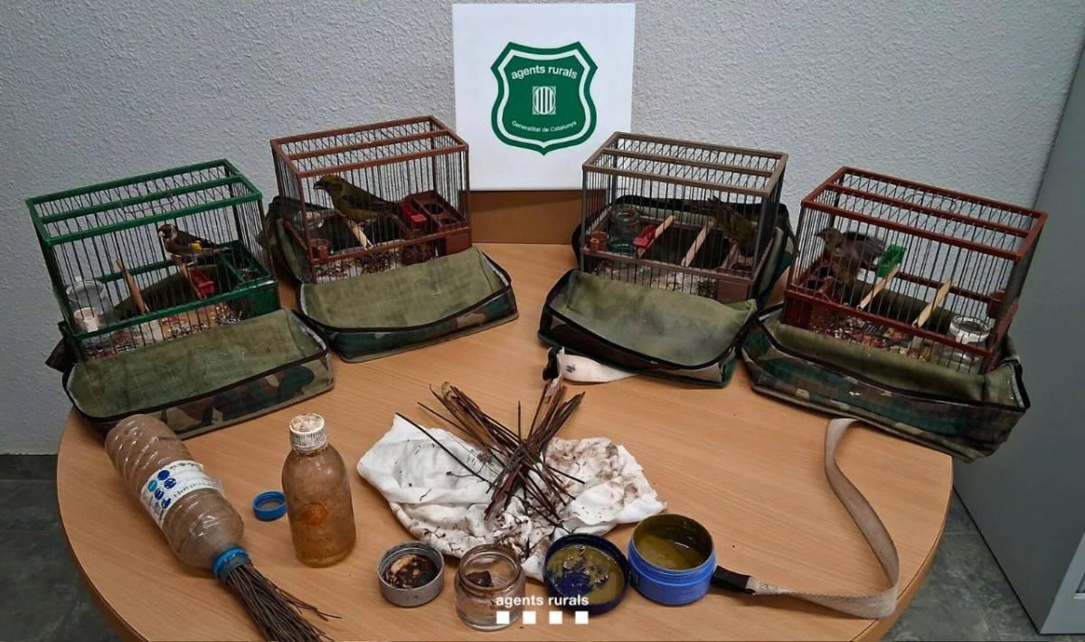Els agents rurals denuncien dues persones al Solsonès i al Bages per ús d’arts no permeses