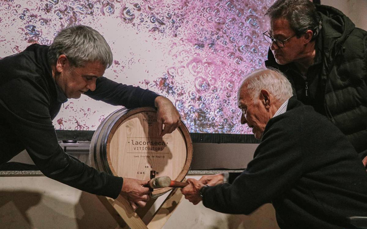 Èxit de participació a la primera Festa del Vi Novell de Sant Fruitós