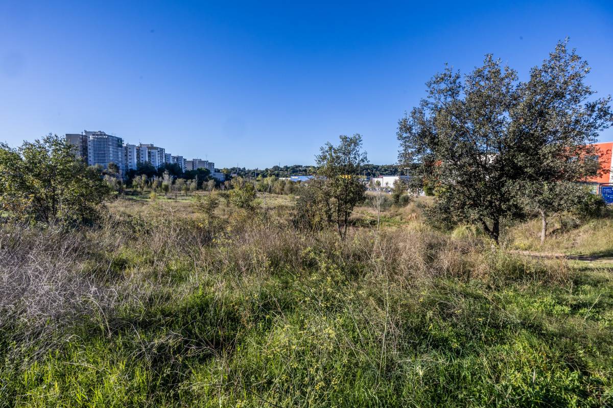 Badia tindrà un nou pol econòmic i residencial a tocar de l'Ikea: 