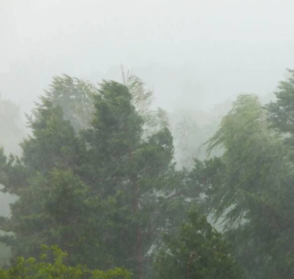 Alerta per vent de més de 90 km/h al nord del país