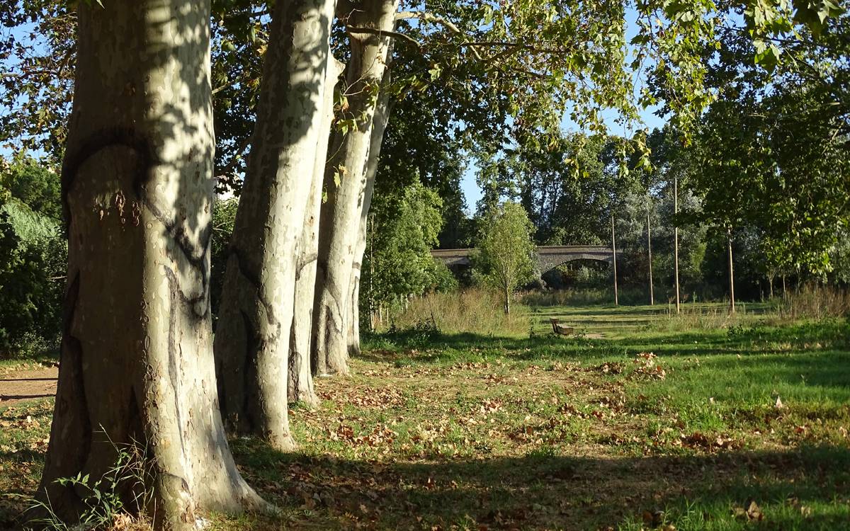 Meandre porta diumenge un nou conte familiar a l'Anella Verda