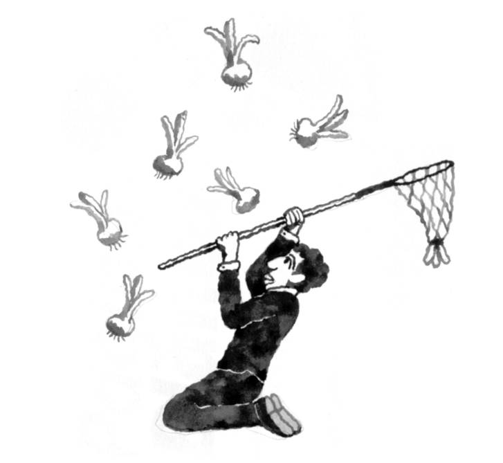 Xaix, petador, badabadoc, rodal... paraules per a 2026 a Sabadell