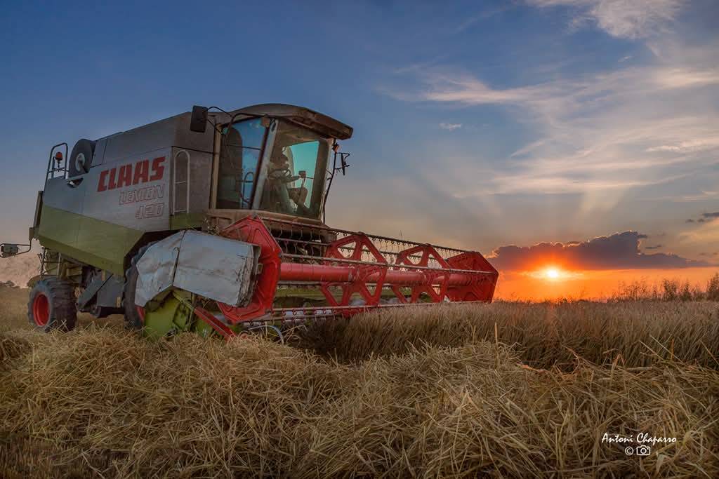 Primer premi  - Antoni Chaparro 