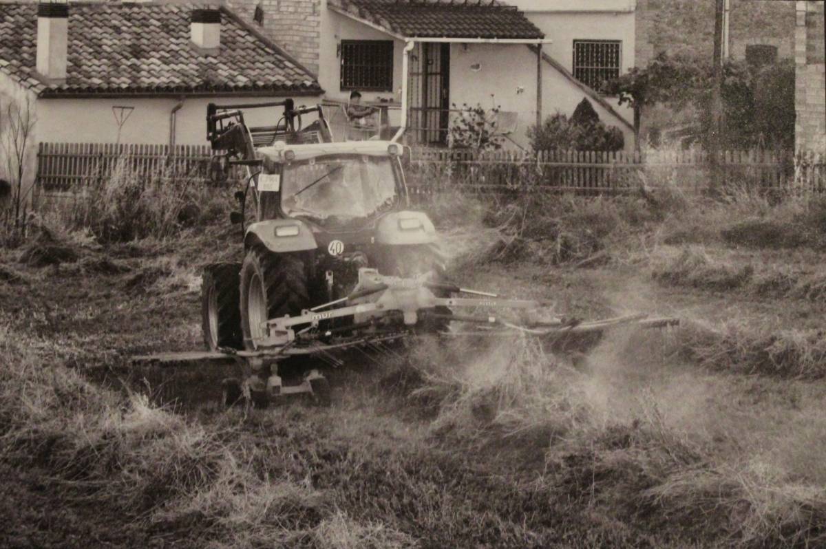 Segon premi  - David Guitart 