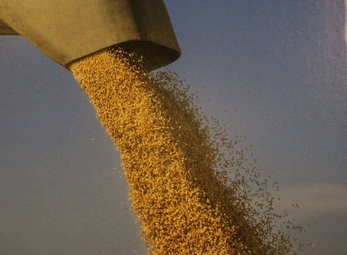 Tercer premi  - Albert Obradors 