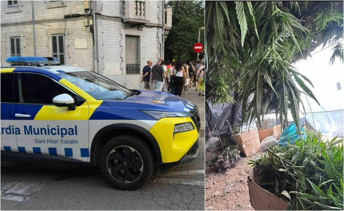 Ingressa a presó el responsable de la plantació de marihuana a Sant Hilari