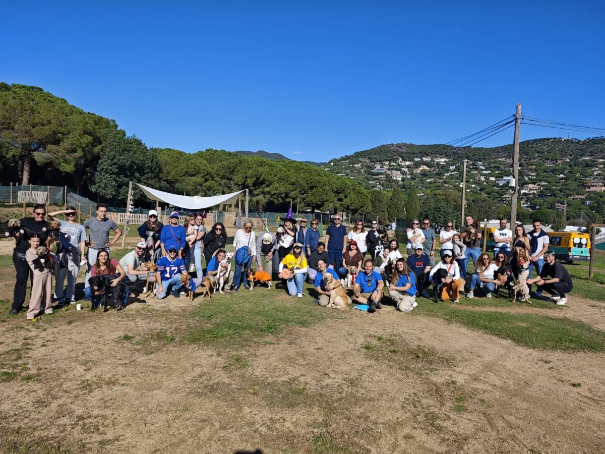 Imatge de la celebració de 