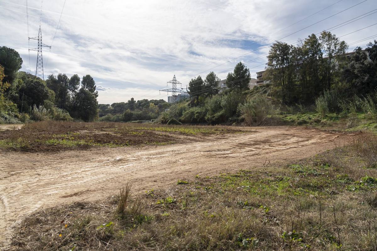 Obres al camí del torrent de la Grípia - Rafel Casanova