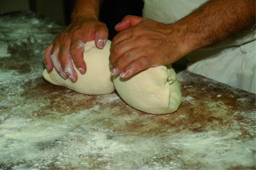 Terrassa exposa l’art fotogràfic que retrata l’aliment elemental