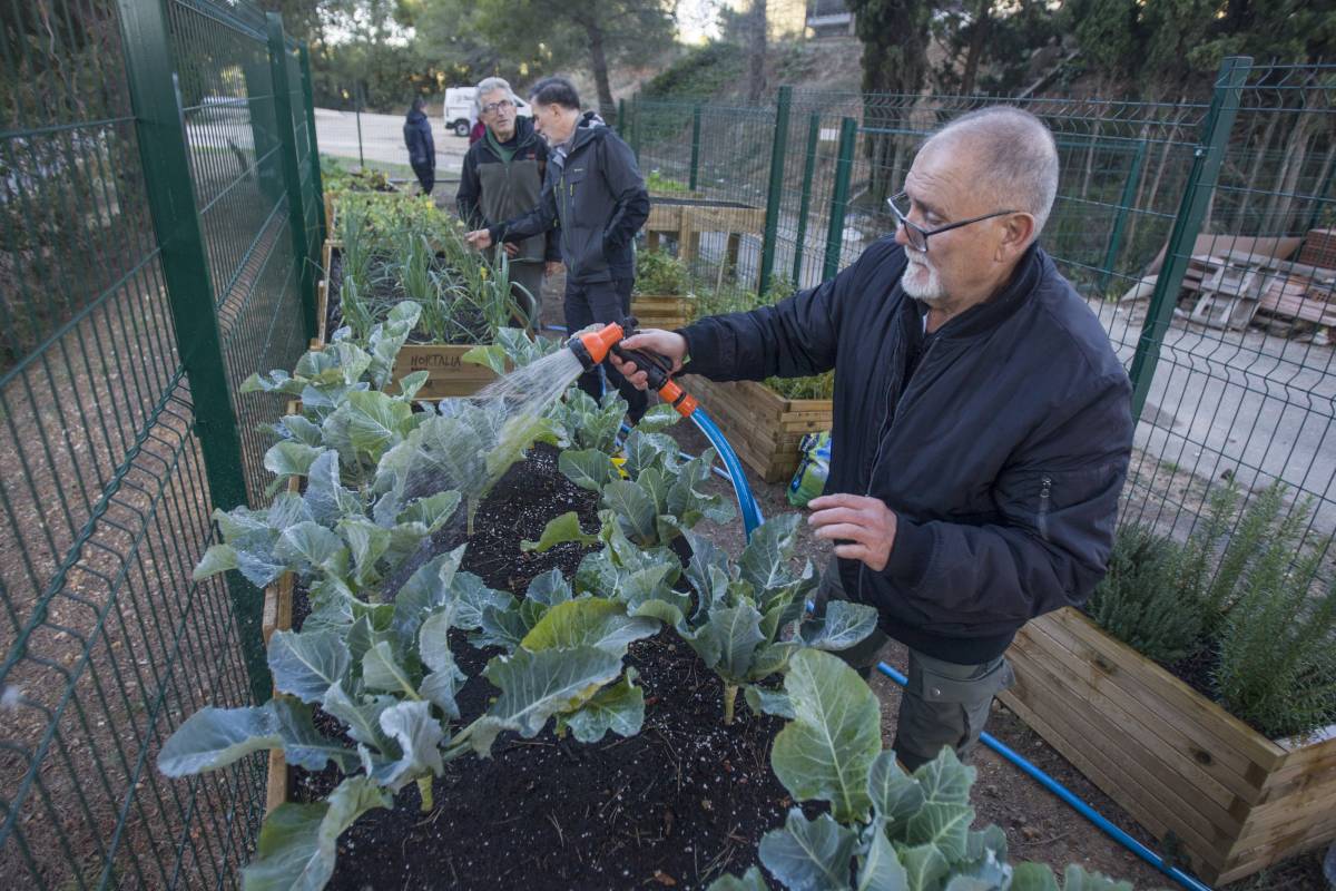 Un hort a l'hospital per cuidar-se: “M’ha canviat la vida”