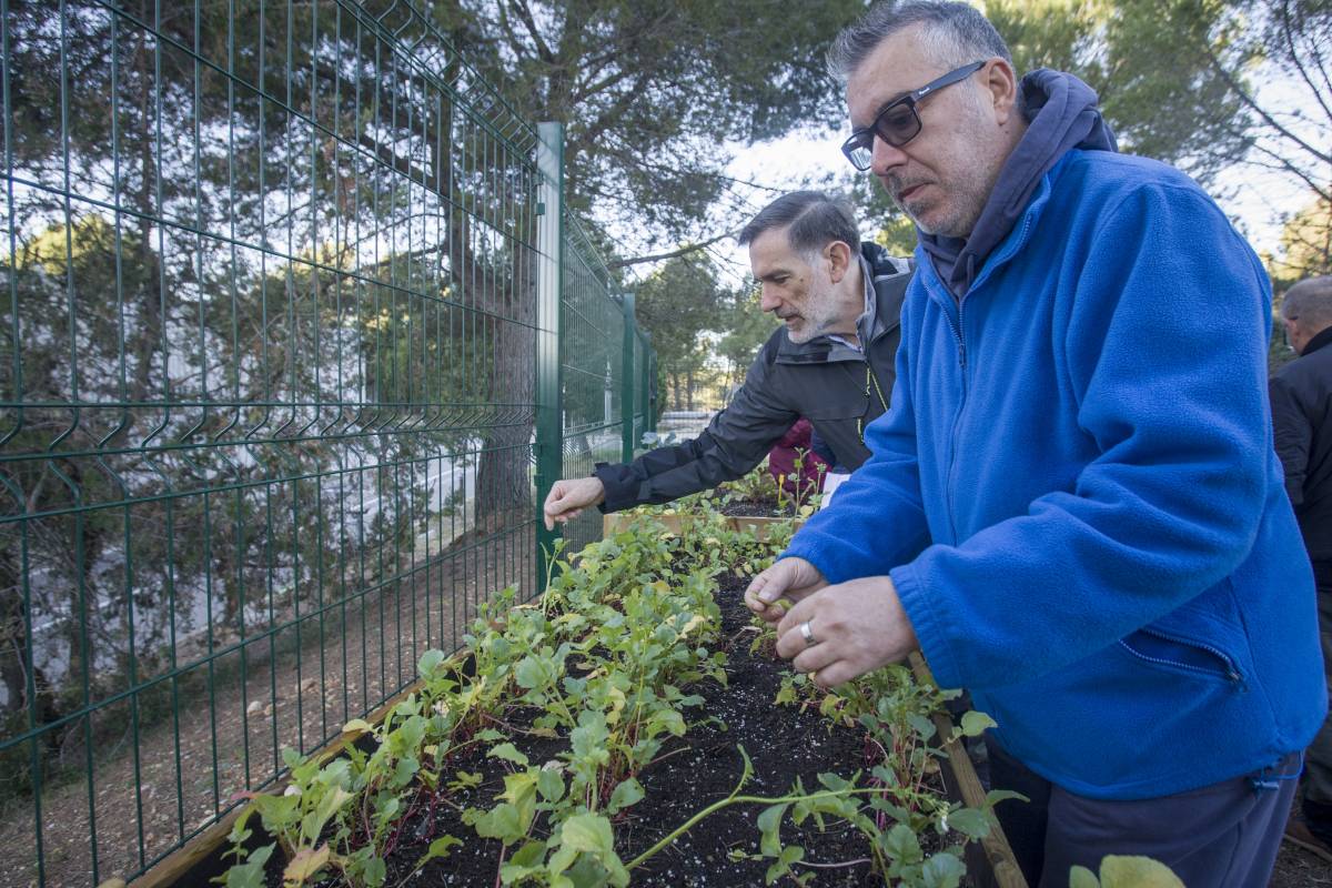 Sebastián Pérez amb Jesús María Garcia collint naps - Nebridi Aróztegui