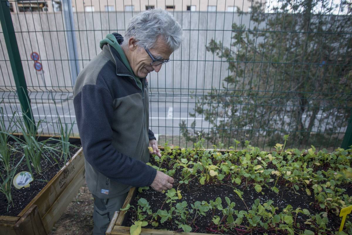 Juan José examinant naps - Nebridi Aróztegui