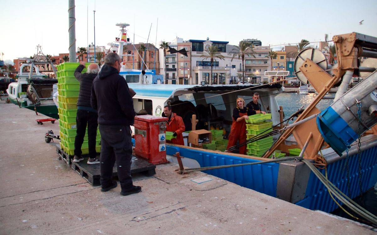 Els pescadors de Tarragona consideren que l'ampliació de 13 dies per sortir a la mar és «insuficient»