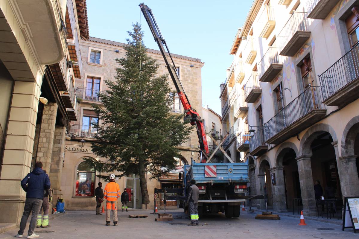 L'arbre de Nadal ja presideix la Plaça Major de Solsona 