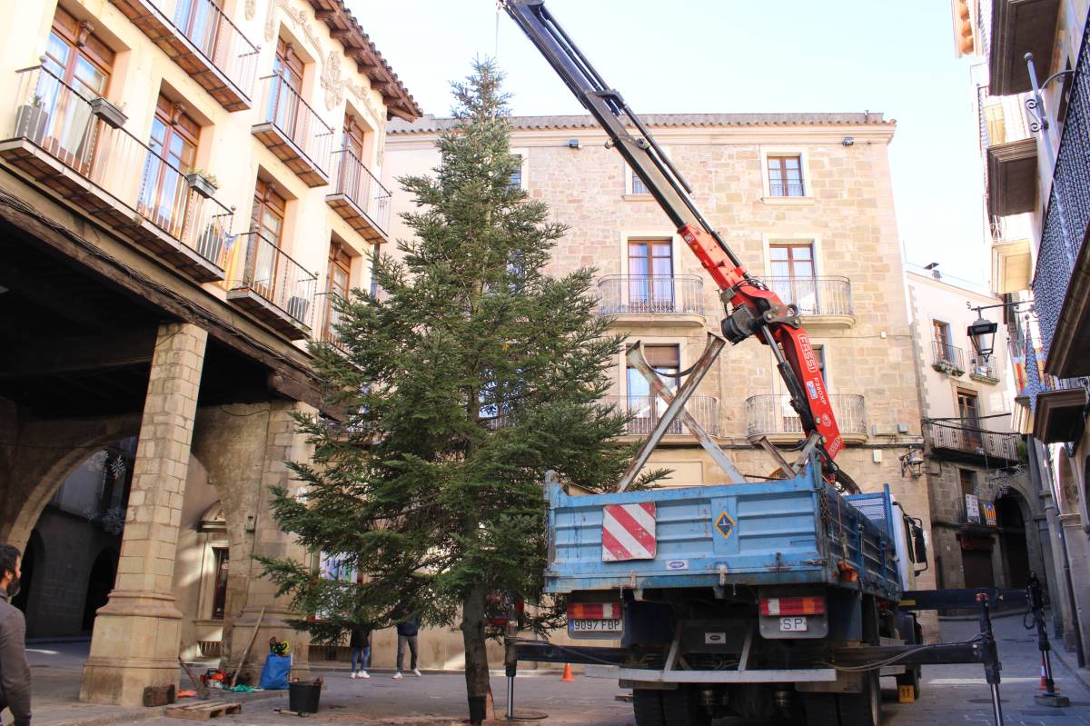 L'arbre de Nadal de Solsona  - Ramon Estany 