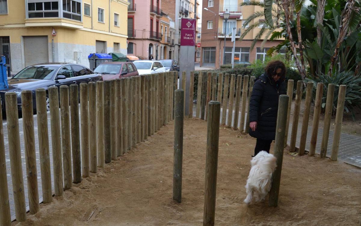 L'Ajuntament de Reus aclareix on podran orinar i defecar els animals a l'espai públic
