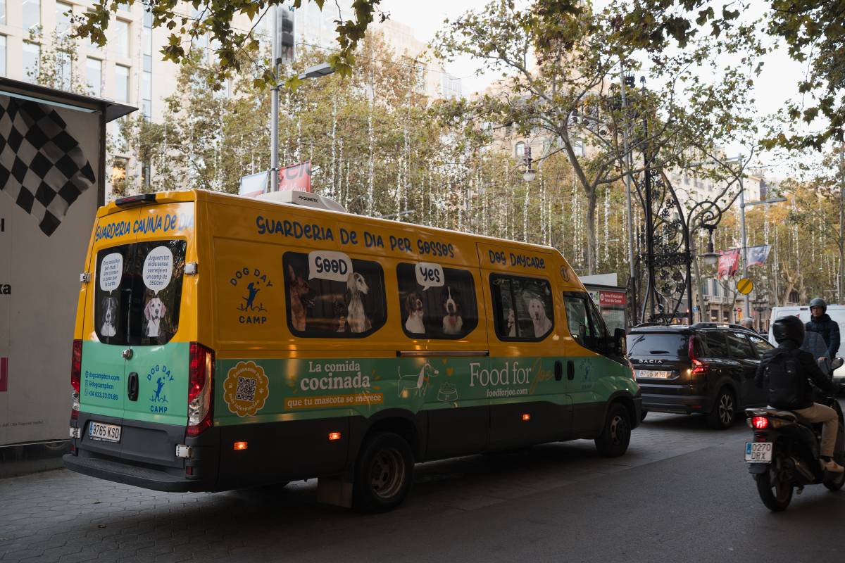 Els gossos, els nous «fills» dels catalans: proliferen escoles bressol, perruqueries i fisioterapeutes canins