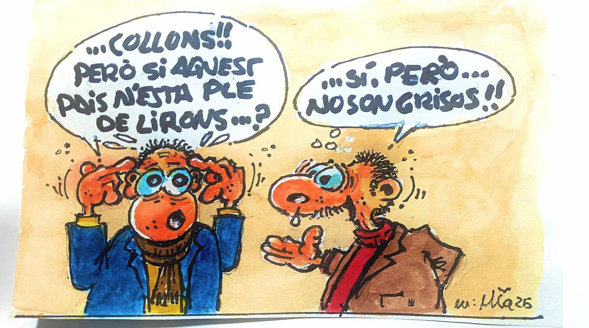 Tornen a trobar el liró gris... Després de dècades!!!