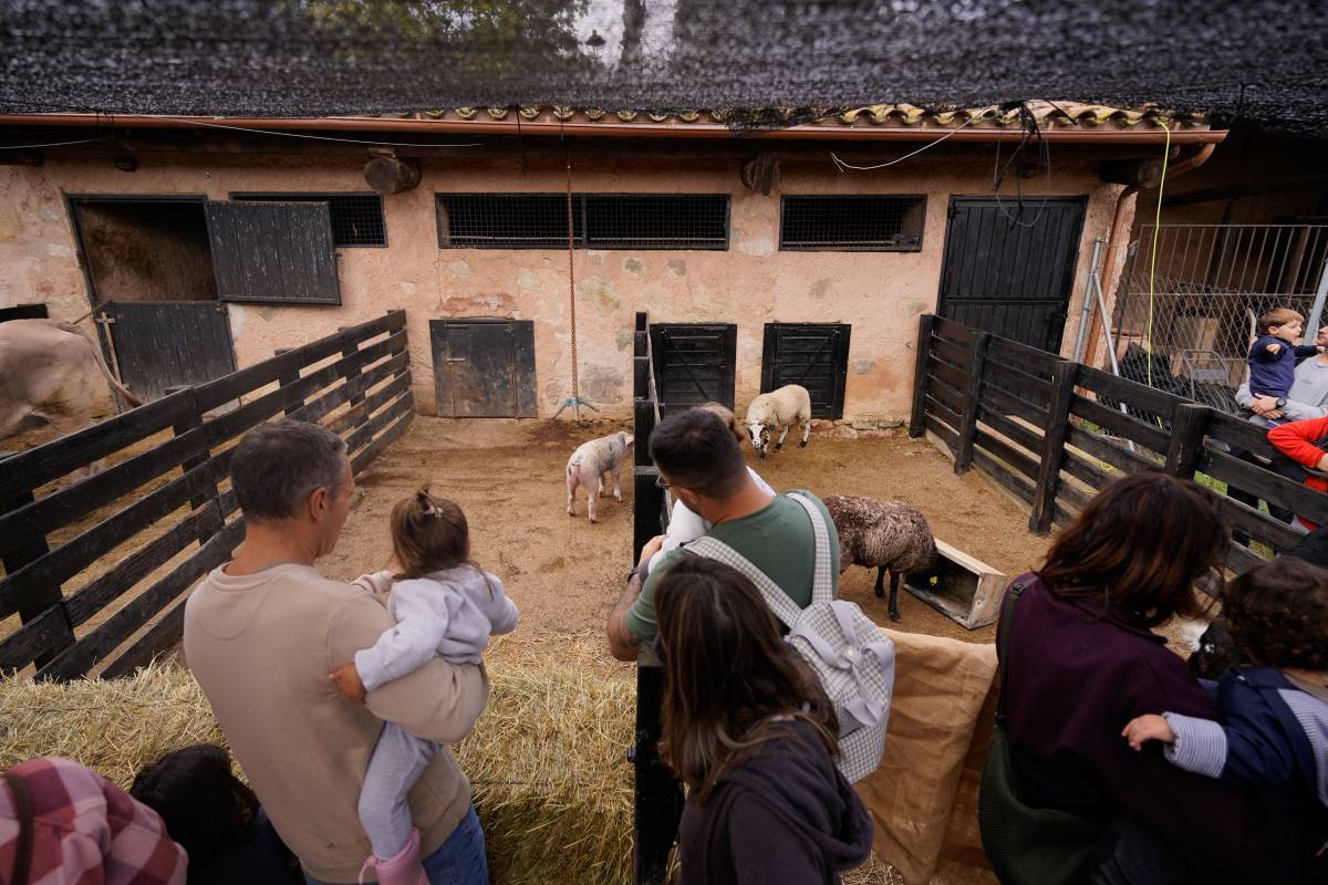 La Fundació 1859 Caixa Sabadell suspèn temporalment les activitats a Can Deu per les mesures contra la pesta porcina africana