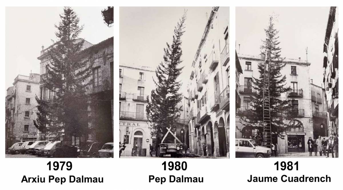 Imatges dels primers arbres de Nadal de la Plaça Major de Solsona  - 