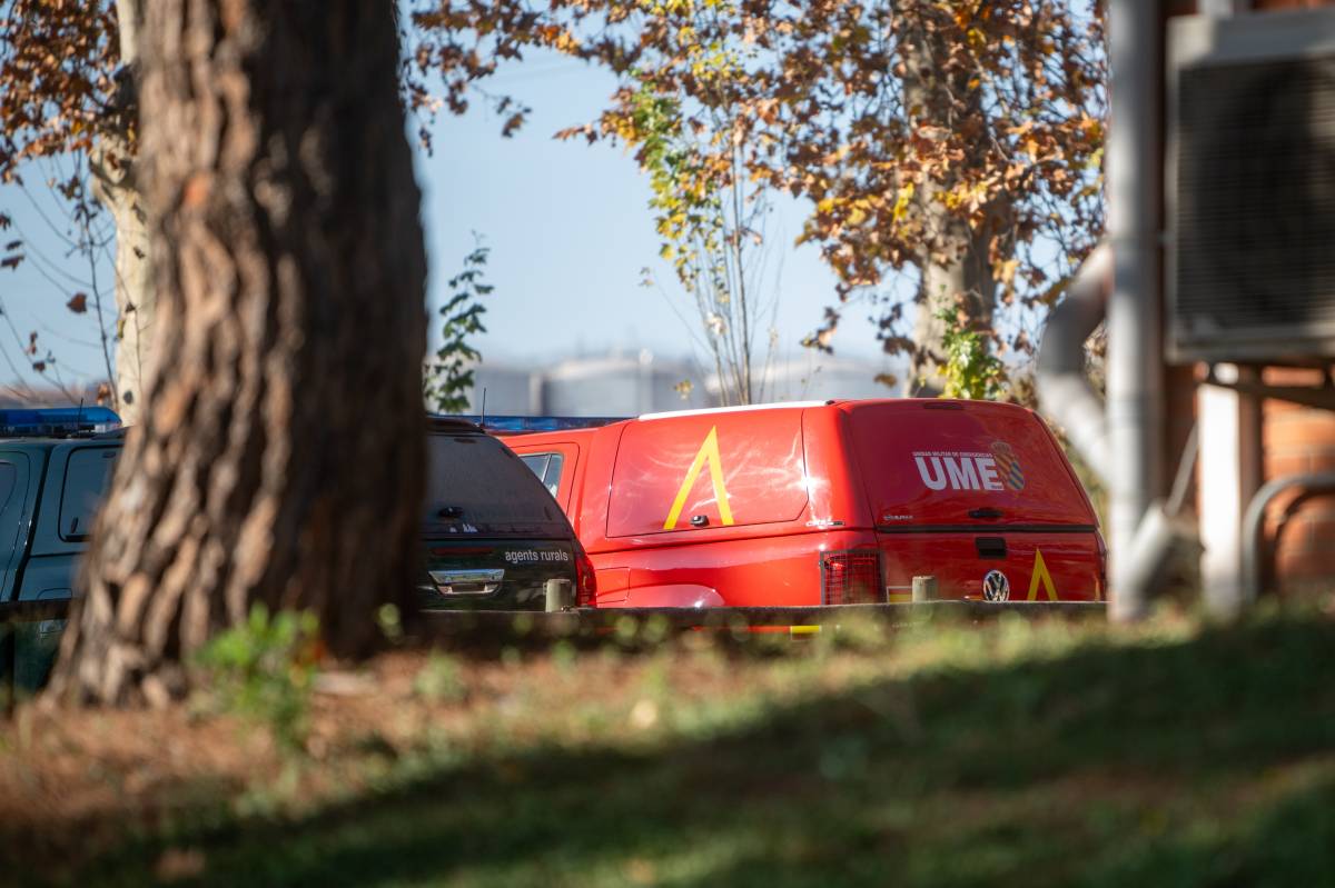 L'UME desplega un centenar d'efectius a Catalunya per controlar el brot de pesta porcina africana