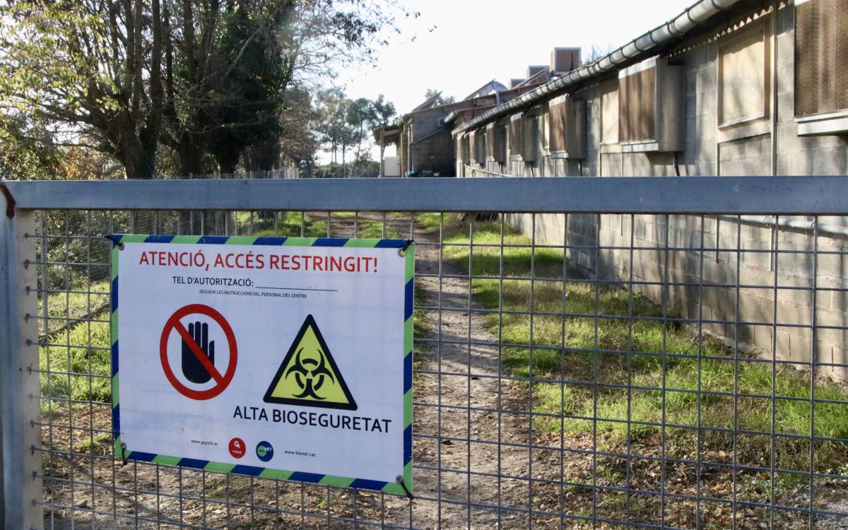 Pla general de la granja Mas Terricabras d`Oristà.