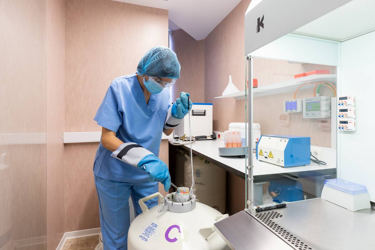 La implantació embrionària: les claus de l’èxit