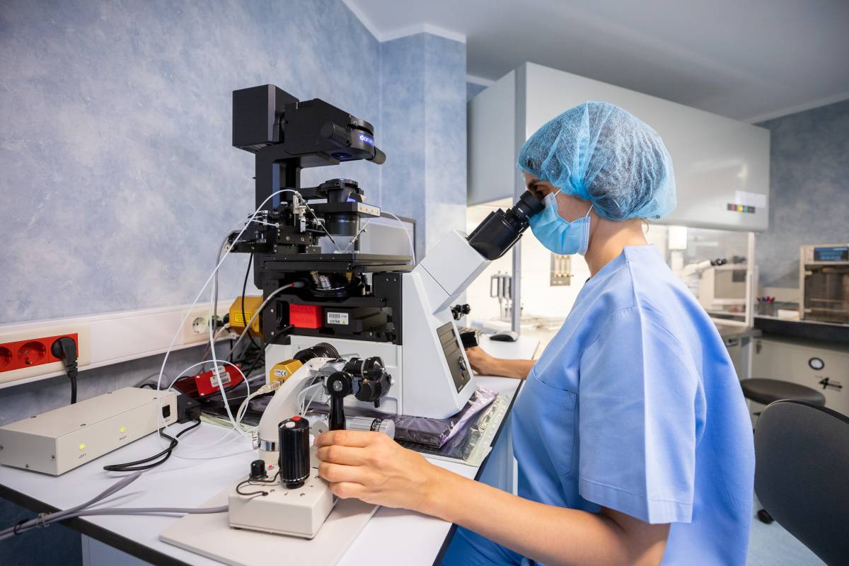 Un laboratori d`implantació embrionària