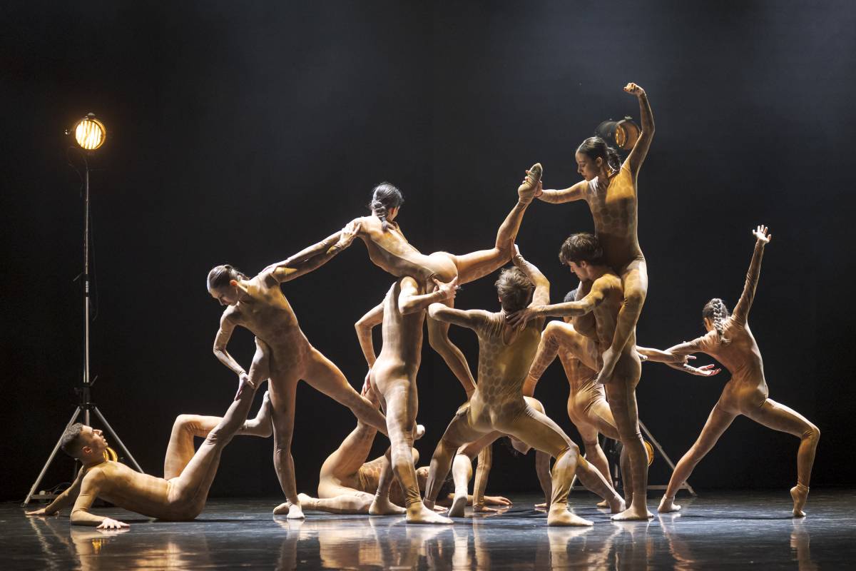 Beethoven brilla a Terrassa