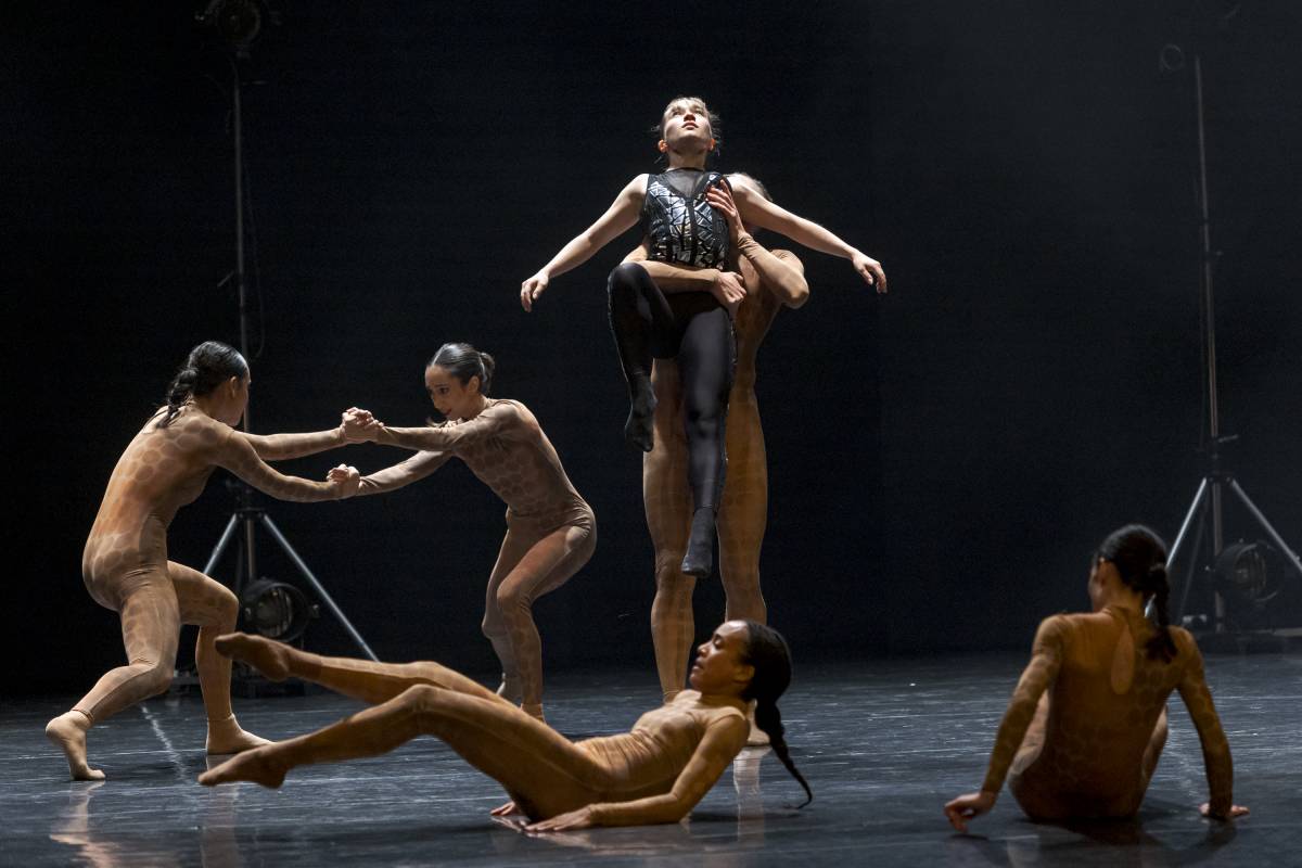 Les coreografies són obra de Kevin O’Day i Jamal Callender - Lluís Clotet