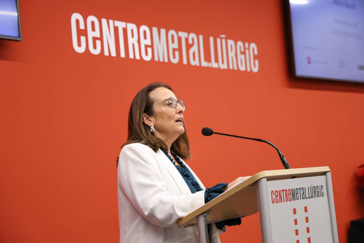 Alícia Bosch, durant la seva intervenció - V. CASTILLO