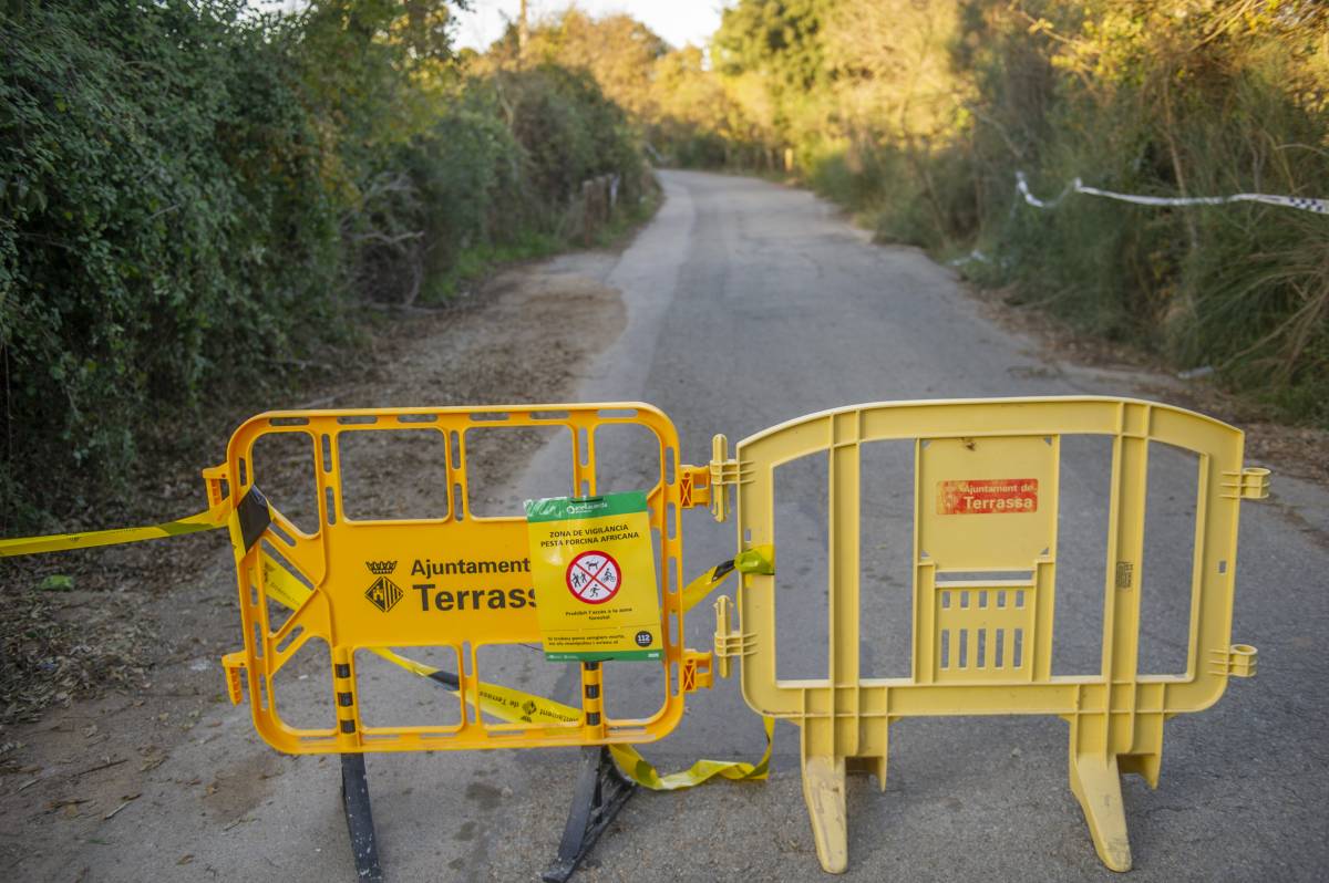Terrassa registra 18 trucades al 112 per l’episodi de pesta porcina, en un cap de setmana amb més de 500 alertes