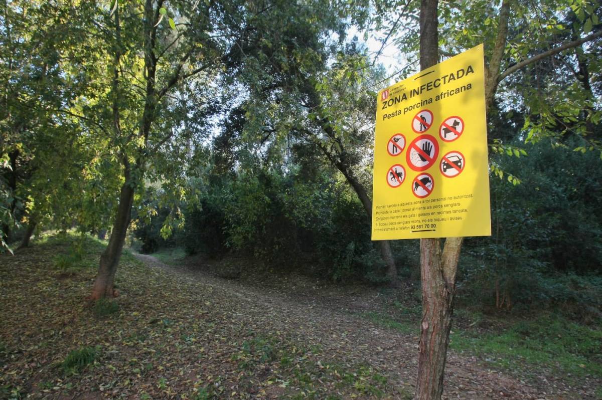 Cartell d'avis de  - Nebridi Aróztegui