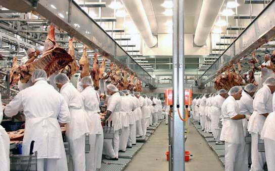 El Grupo Jorge acomiada 300 treballadors temporals d'Osona arran del brot de pesta porcina