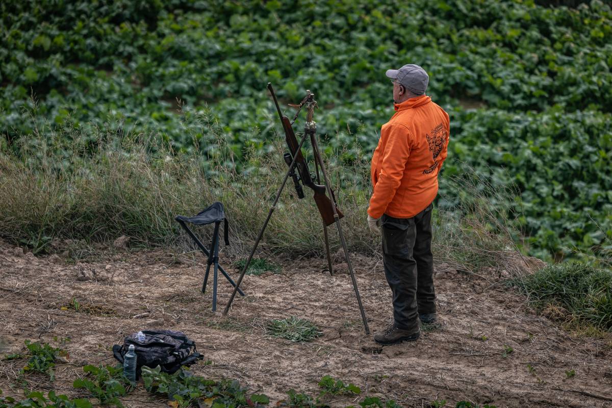 Els caçadors s'activen per fer front a la pesta porcina, però reclamen ajudes per recollir la carn de caça