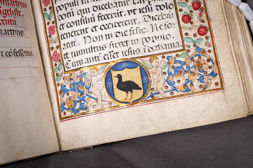 Una imatge del Llibre de les Hores.