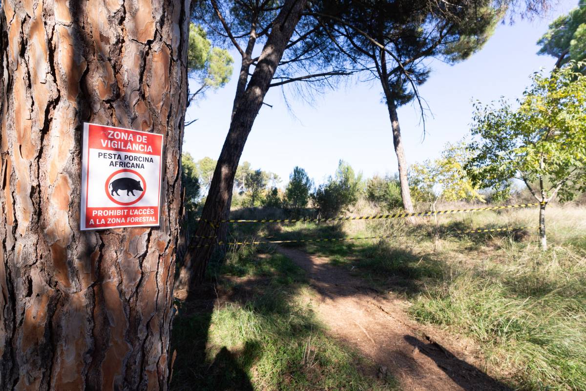 El bosc de Can Deu, restringit