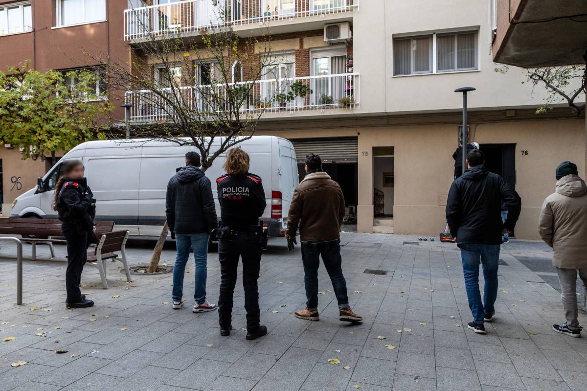 Els Mossos d`Esquadra d` intervenen 300 plantes de marihuana al centre de Sabadell - Juanma Peláez Els Mossos d`Esquadra d` intervenen 300 plantes de marihuana al centre de Sabadell