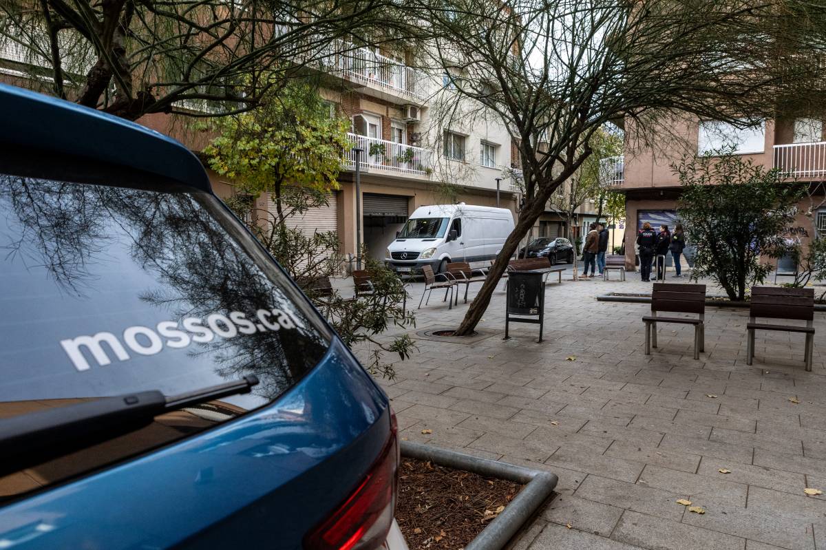 Els Mossos intercepten 300 plantes de marihuana cultivades dins d'un local del Centre