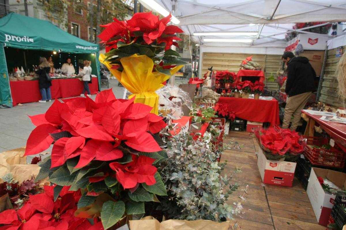 Paradetes de la Fira de Santa Llúcia - Nebridi Aréztegui